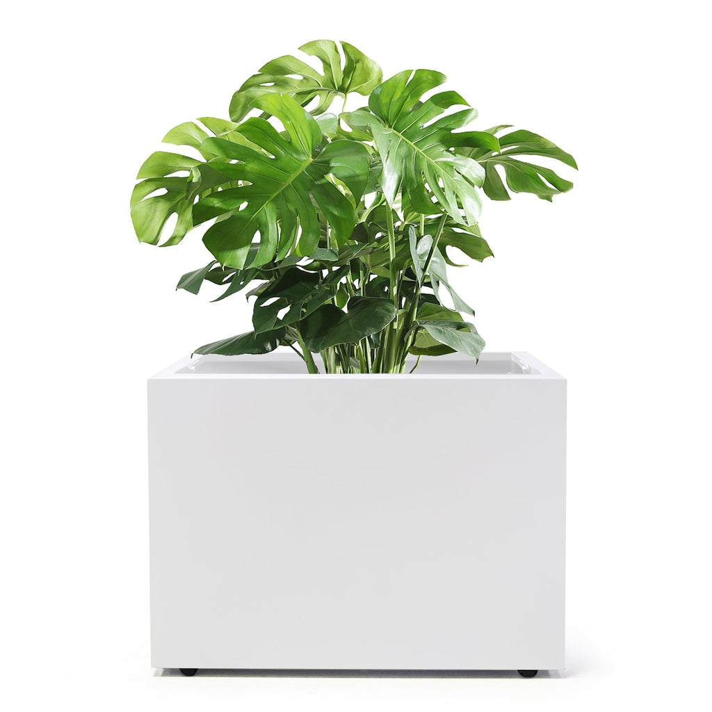 Galvanized Steel Planter Box - No Installation Required Metal Rectangular Block Long Box Planter Modern Outdoor Planters All-Weather Use with Drainage Holes for Patio/Porch, 36×24×12IN